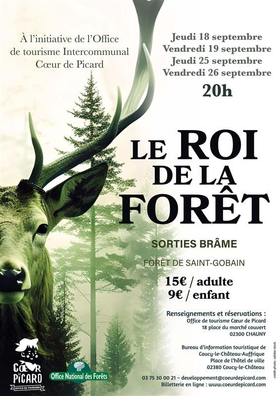 le roi de la foret